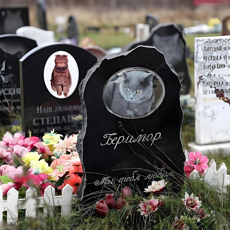 Những tùy chọn tùy chỉnh nào nâng cao các mảng tưởng niệm thú cưng vượt ra ngoài tên cơ bản?